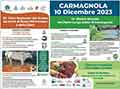 Fiera Regionale del Bovino - Carmagnola