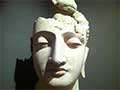 Exposition Buddha10 Mao Turin