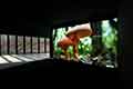 Mostra Rabbit Inhabits the Moon Torino