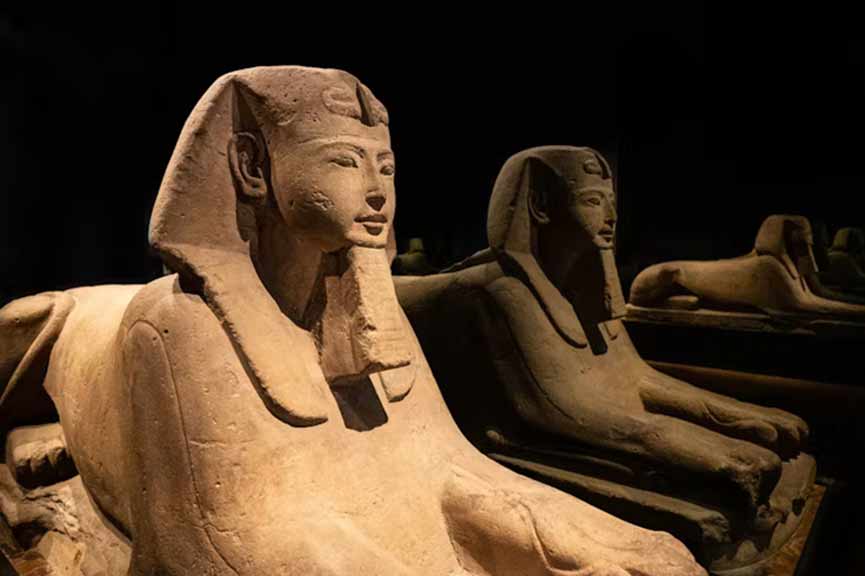 Excursão em grupo sem filas no Museu Egípcio de Torino. Compra de ingressos on-line